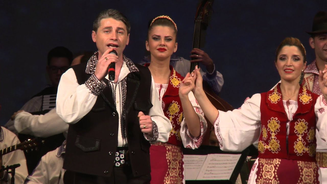 Dumitru Stoicănescu și Orchestra Ansamblul Timișul - Am iubit în astă lume LIVE