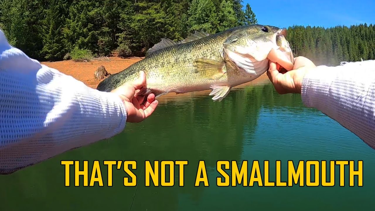 Bass fishing Jenkinson Lake - Sly Park