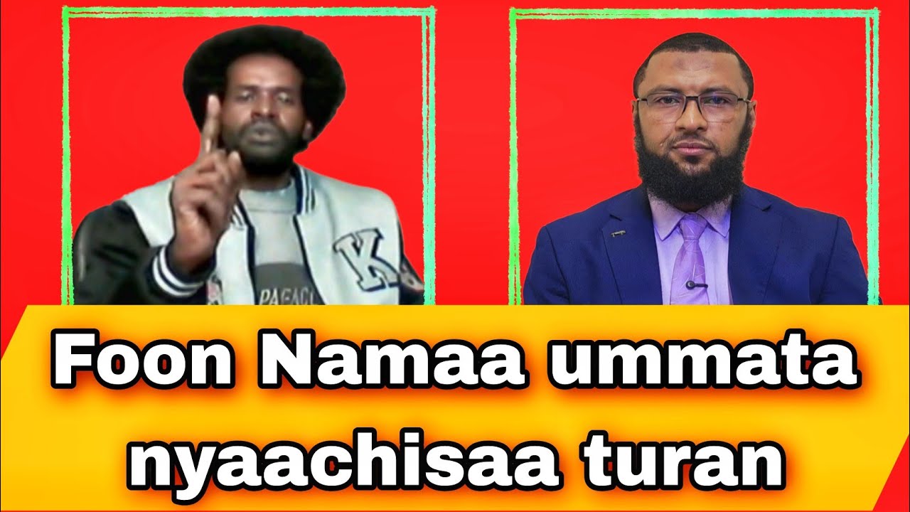 Injinar Guddataa wajjin turtii goonee kutaa 1ffaa