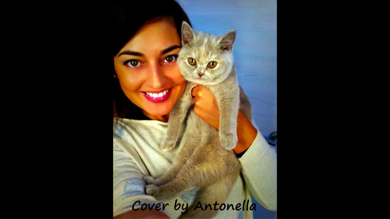 It's Oh So Quiet cover Antonella