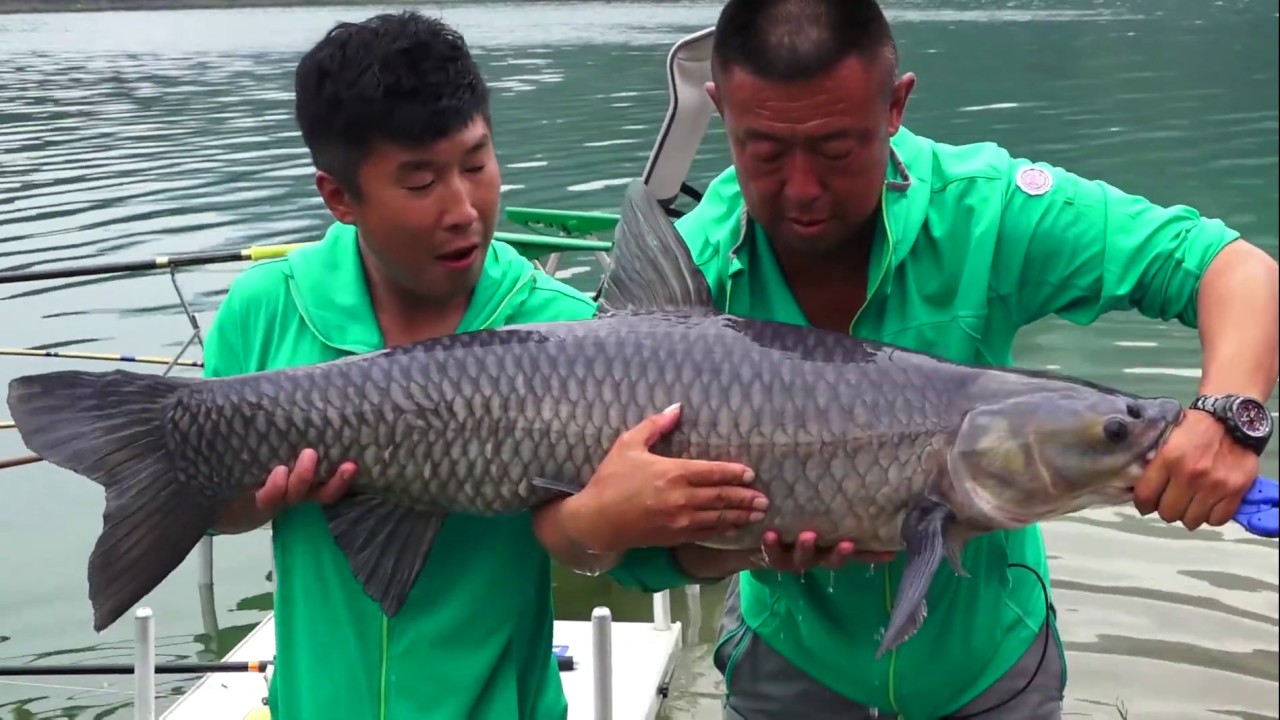 《游钓中国》第四季 第40集 清江猎青最终回 欧式浮球显威力 Fishing tour in China【游钓中国栏目组】