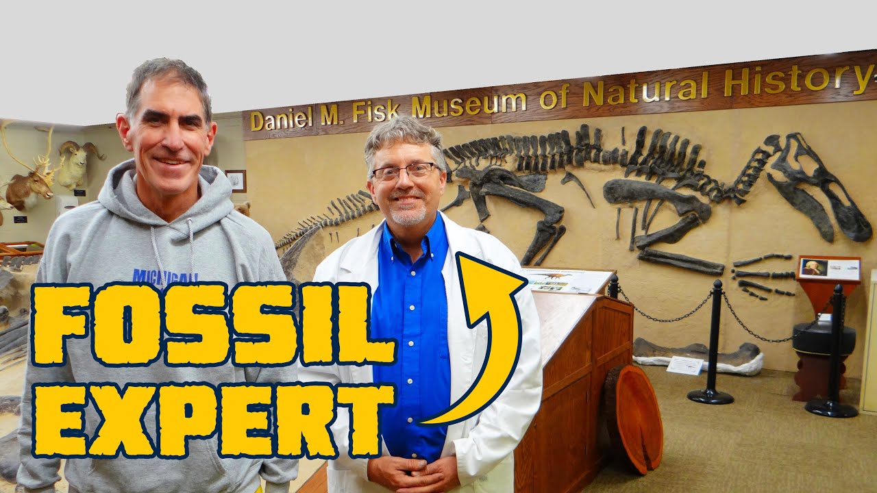 7 Techniques for Cleaning Fossils