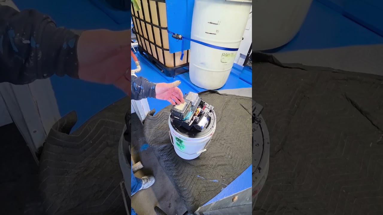 5 Gallon Cordless Bucket Top Sprayer #softwash #powerwashing #pressurewashing #cordlessbucketsprayer