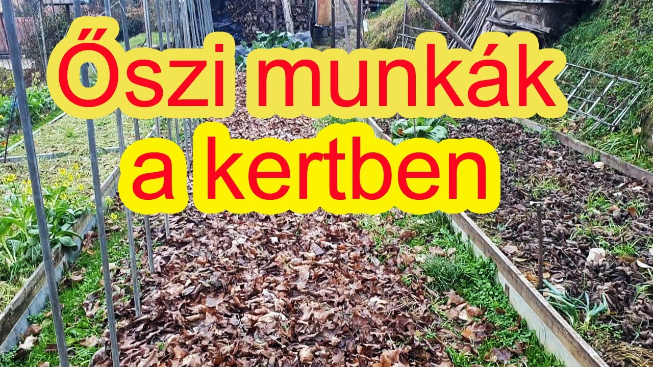 Őszi munk&aacute;k a kertben