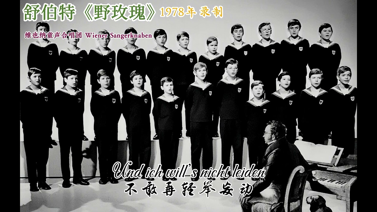 舒伯特《野玫瑰》Heidenroslein（1978年）
