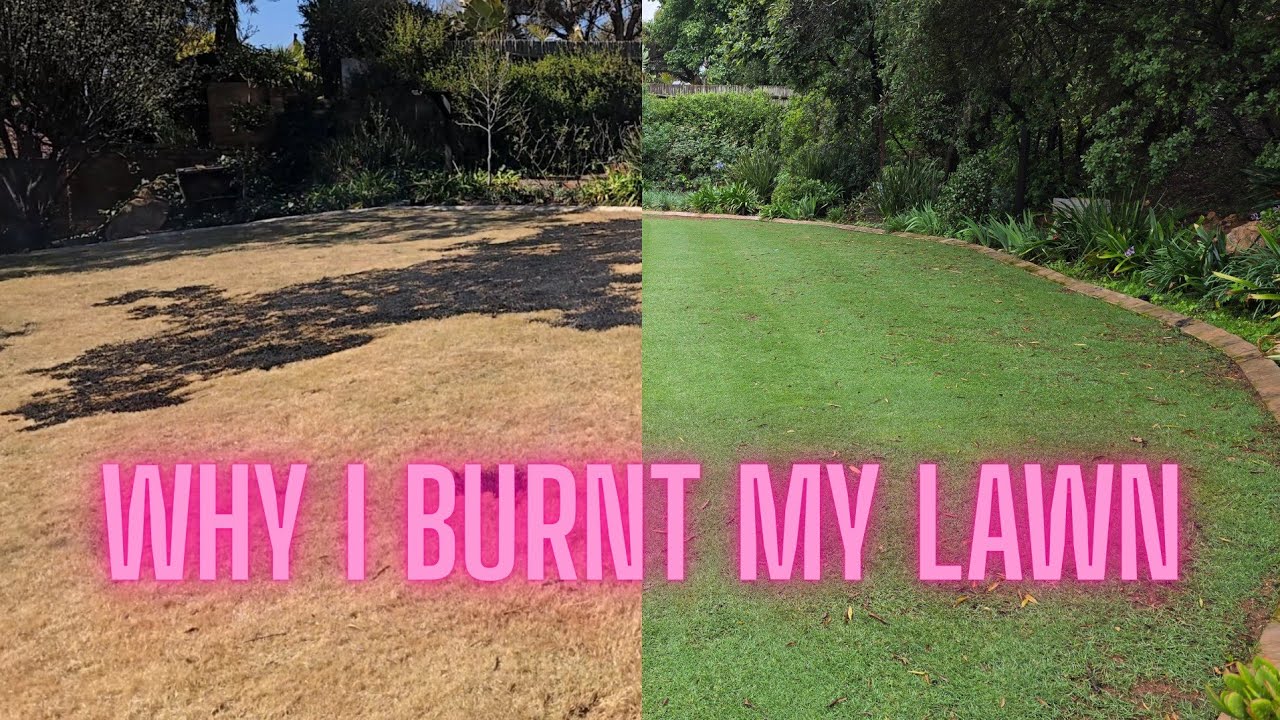 Why I Burnt my Lawn
