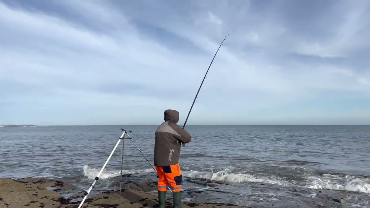 Dale havenhands morning session cambois rocks