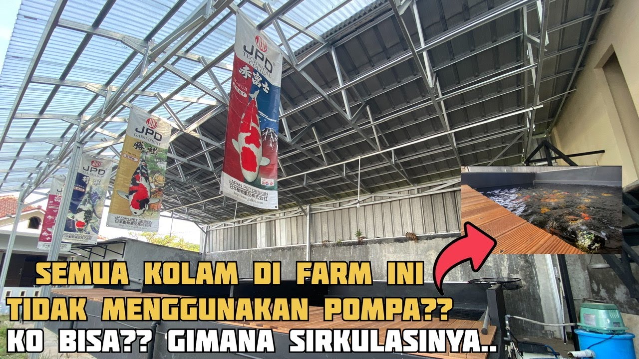 KOLAM KOI TANPA MESIN POMPA BISA JERNIH ⁉️ AIRLIFT SISTEM PART I