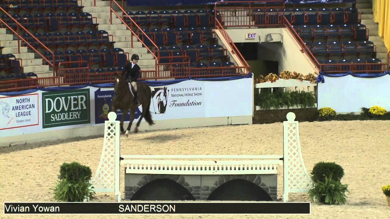 267 SANDERSON Vivian Yowan, Class 48d Equitation Schooling D