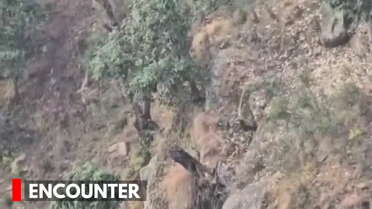 Udhampur: Encounter Continues In Basantgarh, 2 Terrorists Trapped