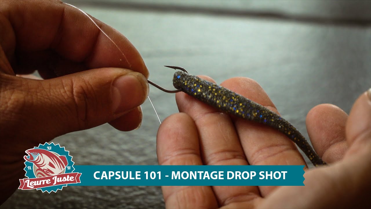 Capsule 101 - Montage drop shot pour le doré