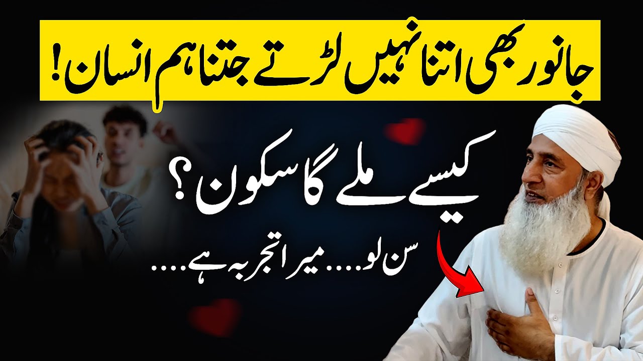 📢 Janwar Bhi Etna Nahi Ladte Jitna Hum | Kaise Milega Sakoon? | Saeed Anwar Bayan | Islamic Stream