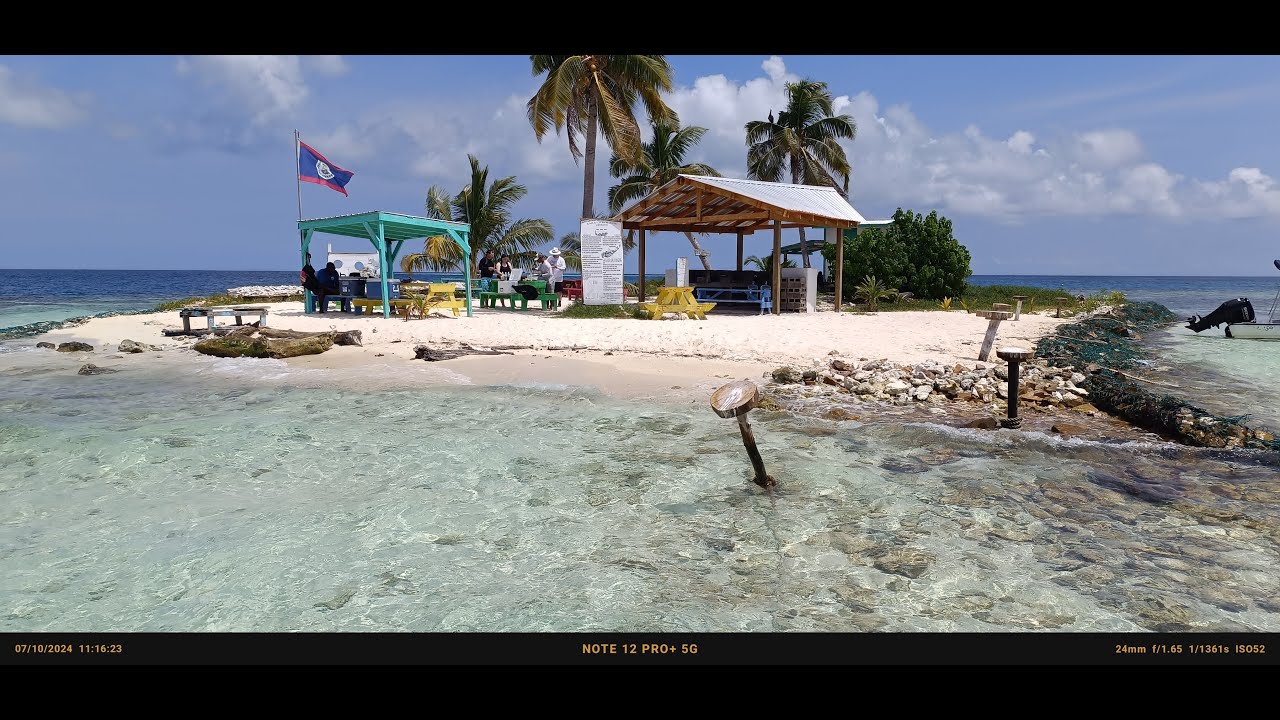 WALL DIVE #SILK CAYES