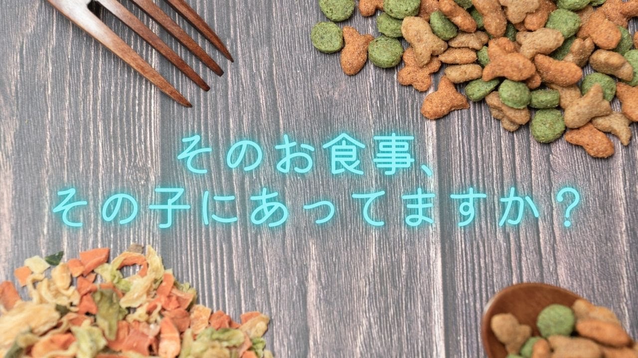 そのお食事、その子にあってますか？
