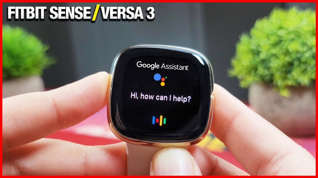 Google Assistant On Fitbit Versa 3 & Fitbit Sense!