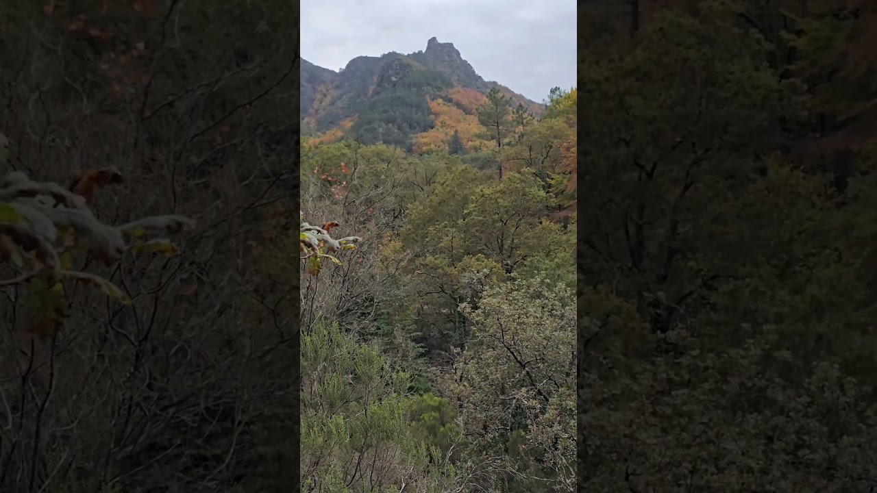 Mata da Albergaria - Campo do Gerês -Terras de Bouro - Braga Parque Nacional da Peneda-Gerês