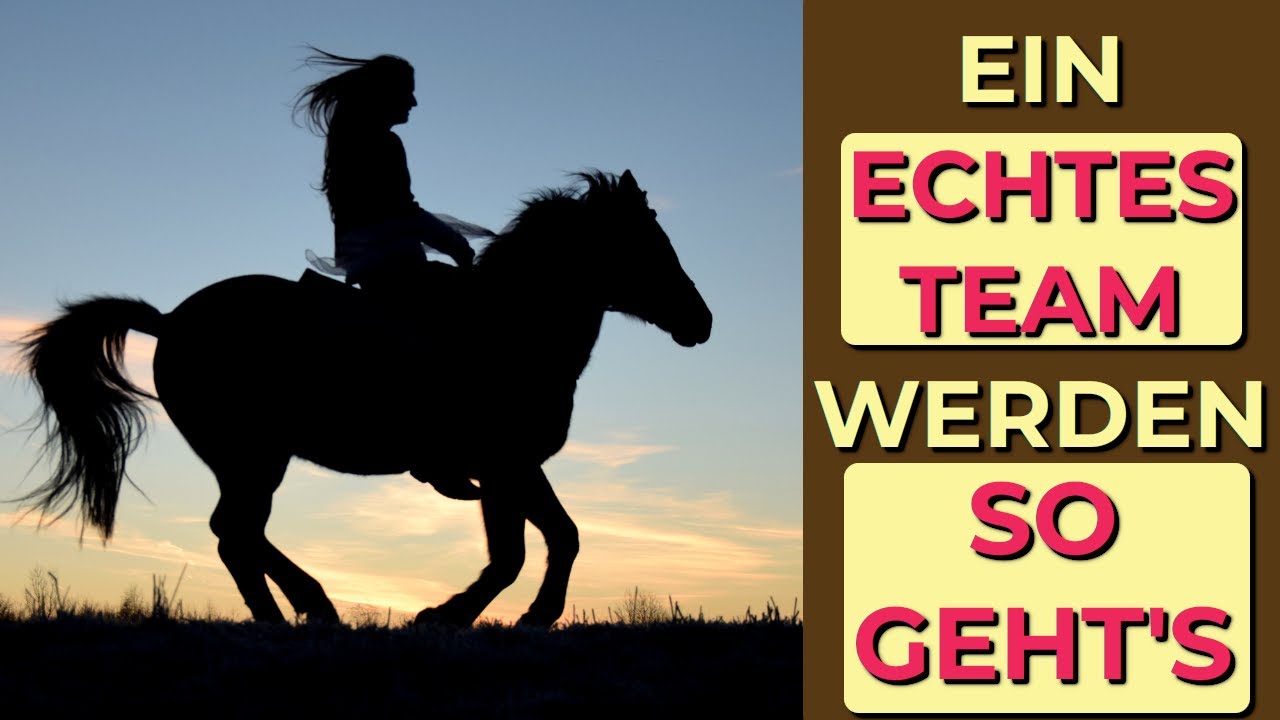 10 Tipps, wie Du mit deinem Pferd ein echtes Team wirst | Angstreiterchallenge | Reiten ohne Angst