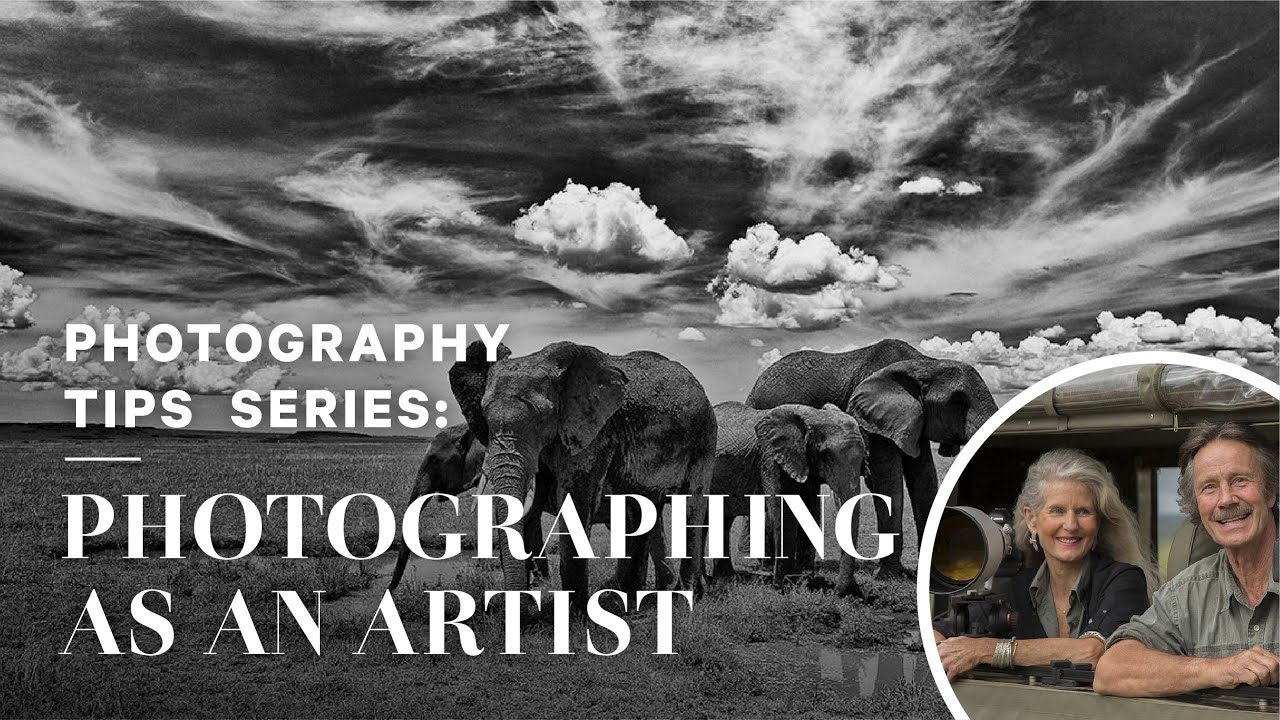 'Photographing as an Artist' with Wildlife Photographers Jonathan & Angela Scott