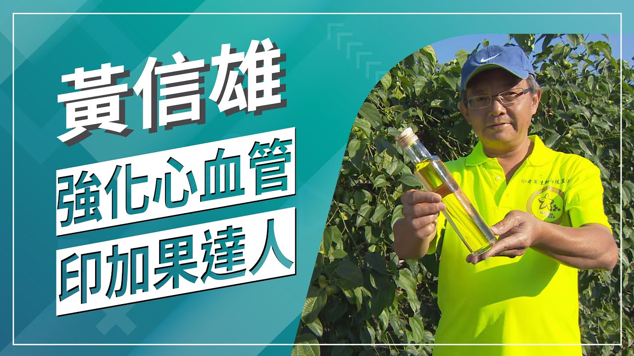 草地狀元-樹上魚油印加果推手(2020.03.30播出)