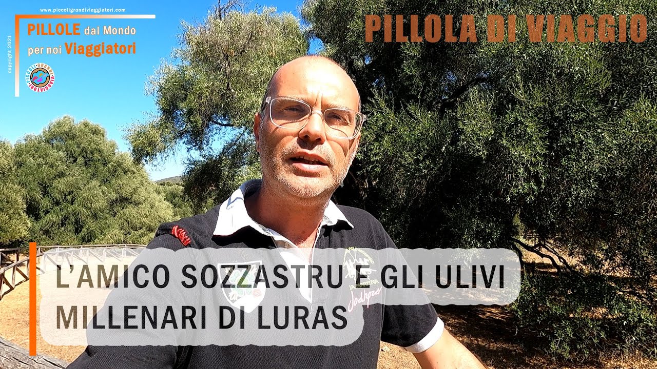 L'AMICO SOZZASTRU E GLI ULIVI MILLENARI DI LURAS