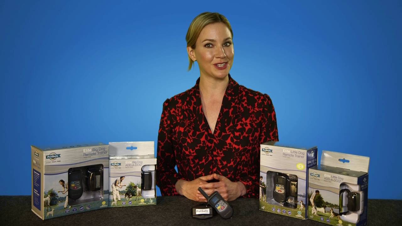 PetSafe Elite Big & Little Dog Trainers