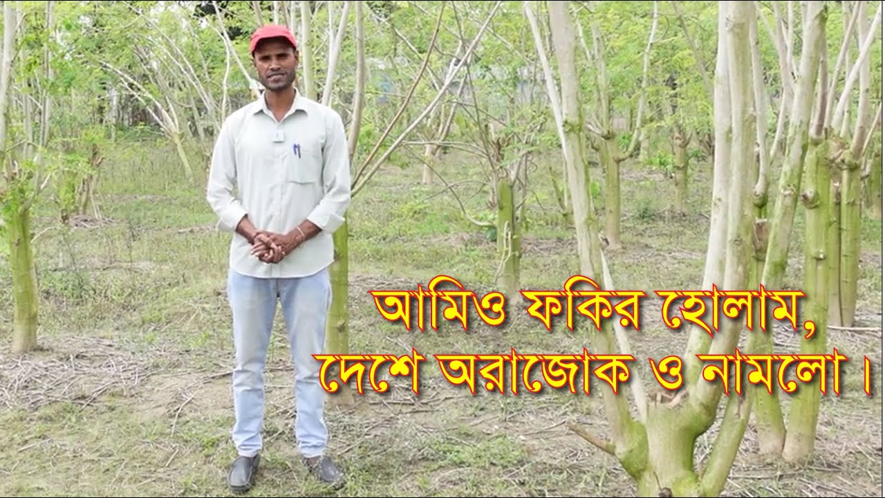 বারো মাসি সজিনা বাগান,নতুন করে না করার পরামর্শ