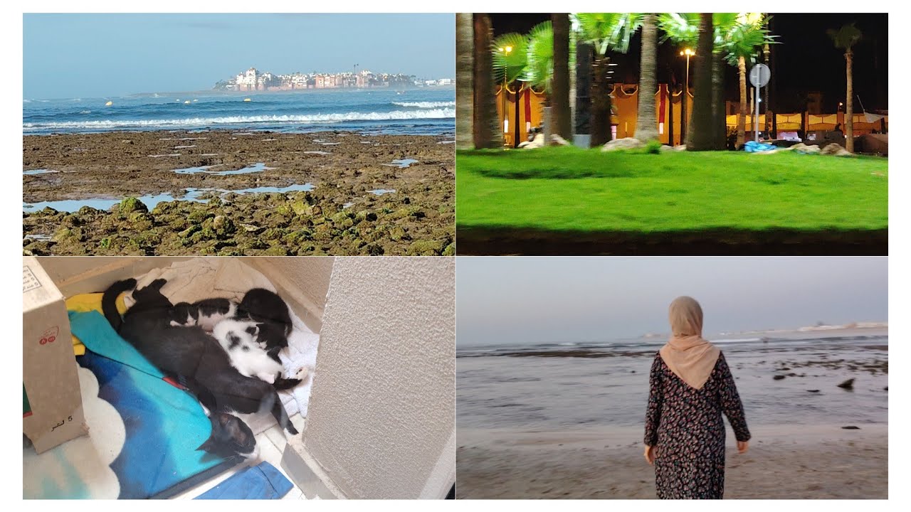 نشارك معاكم اوقات ممتعة مع عائلتي🇲🇦 ارحموا من في الأرض يرحمكم من في السماء 🤲😍