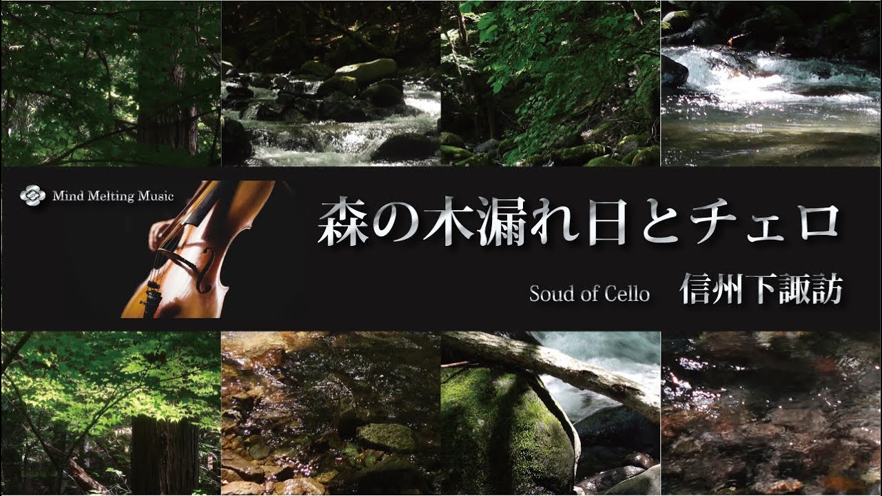 森の木漏れ日とCello信州下諏訪（自然映像とBGM/心身浄化・癒し/作業用BGM）sound of soft cello