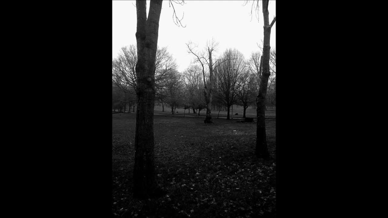 Ben Zulu - Goblin Tree In Thornes Park (Album Re-Release)