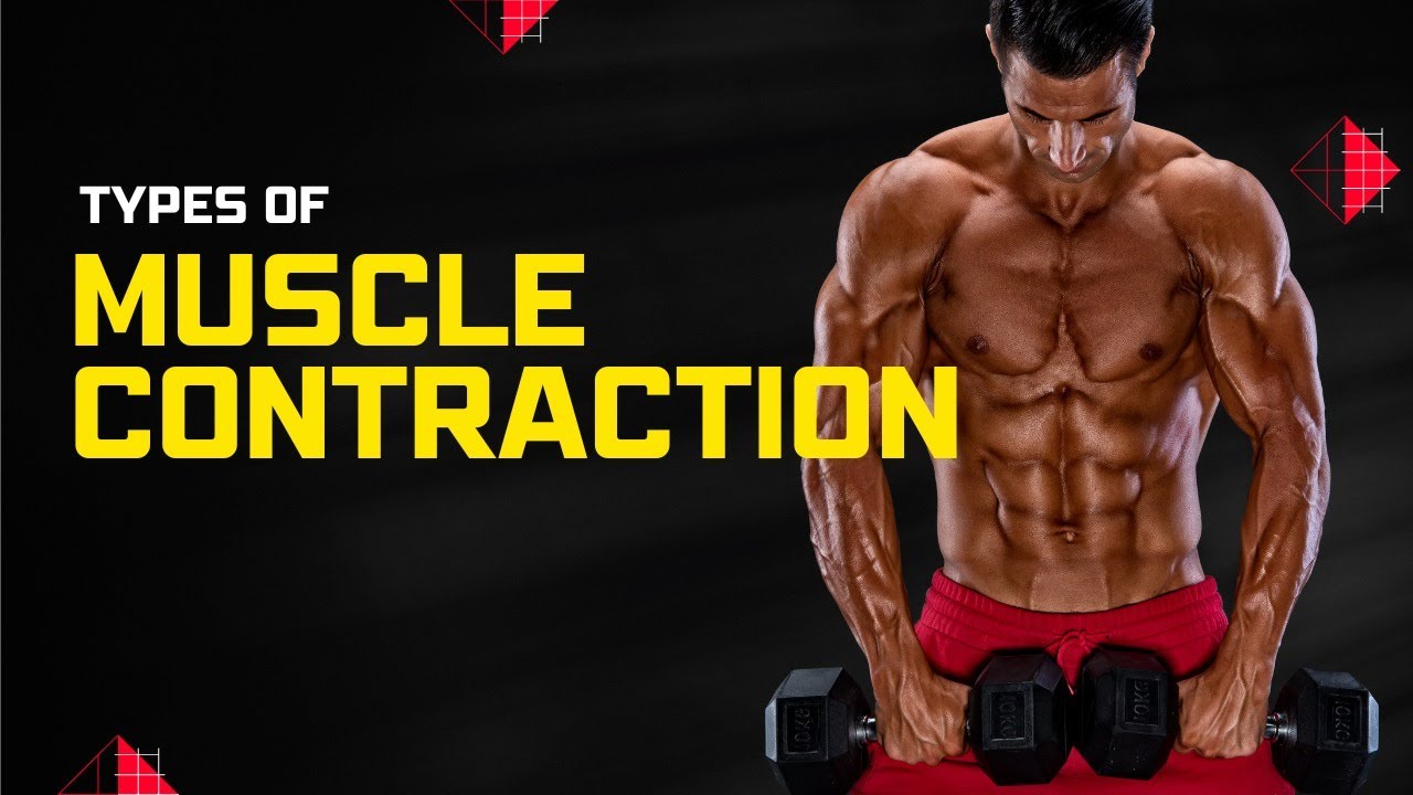 肌肉收縮的主要類型 - Types of muscle contraction