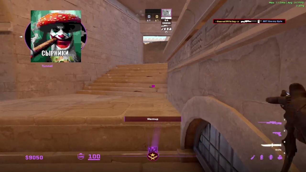 Valve , fix insane bug pls