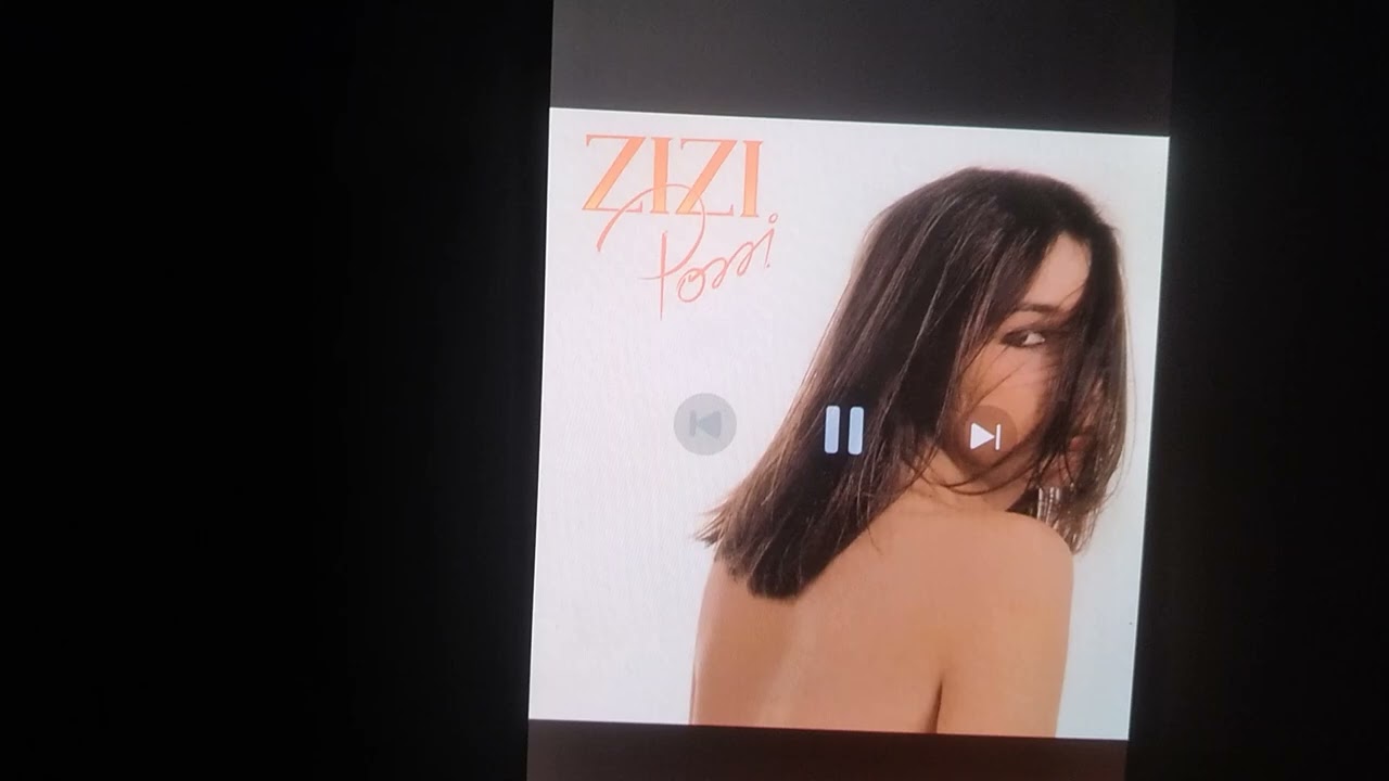 O AMOR VEM PRA CADA UM_ ZIZI POSSI