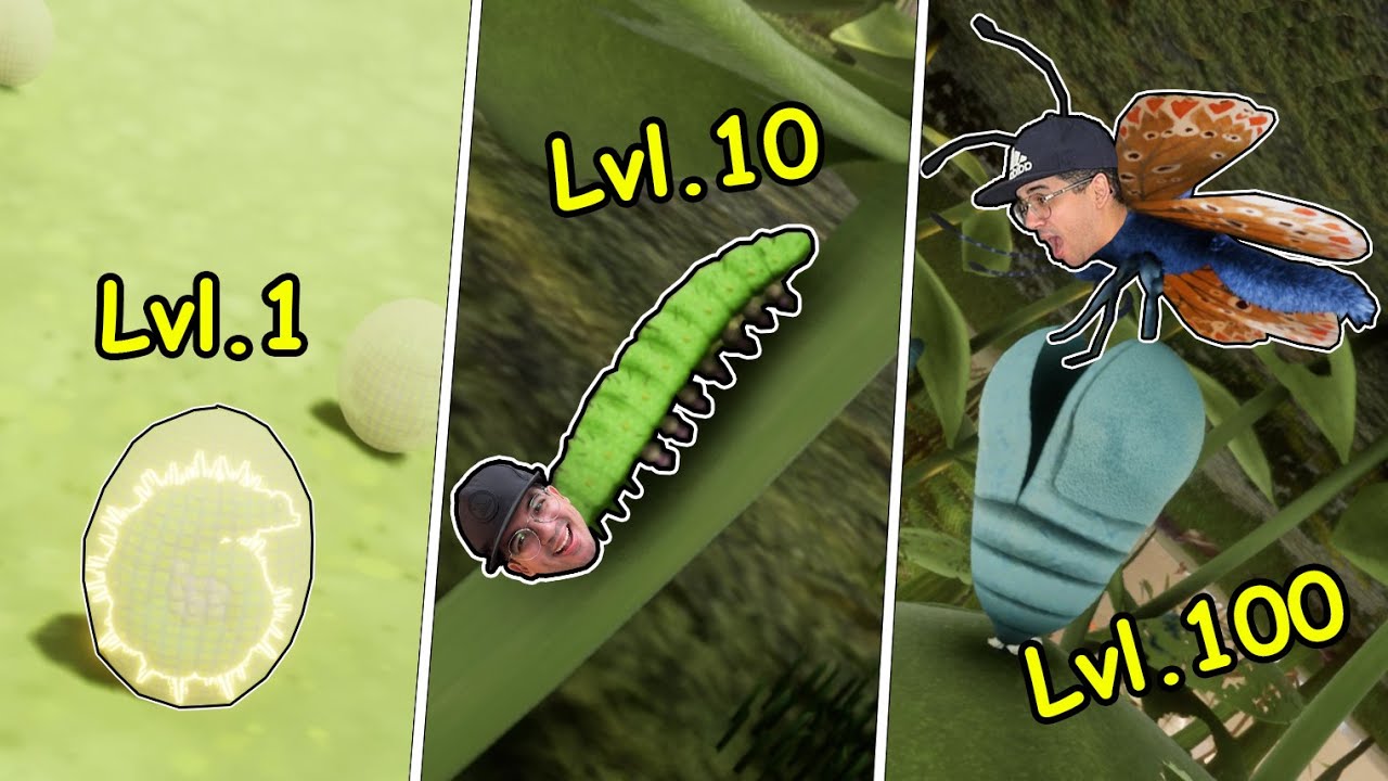 CICLO DE VIDA DA LAGARTA QUE EVOLUI PARA UMA BORBOLETA ULTRA RARA!