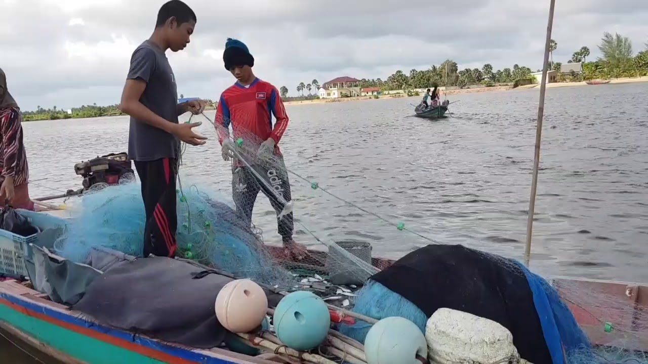 ការនេសាទត្រីនៅសមុទ្រខេត្តកំពតនិងទេសភាពតាមព្រែក-Fish fishing in the sea