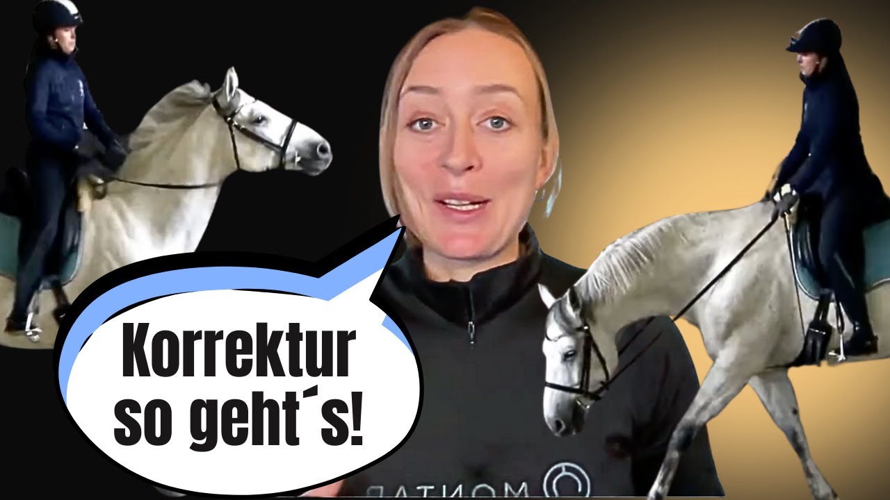 Korrekturpferd – Mit dem Pferd arbeiten, nicht gegen es! ❤️