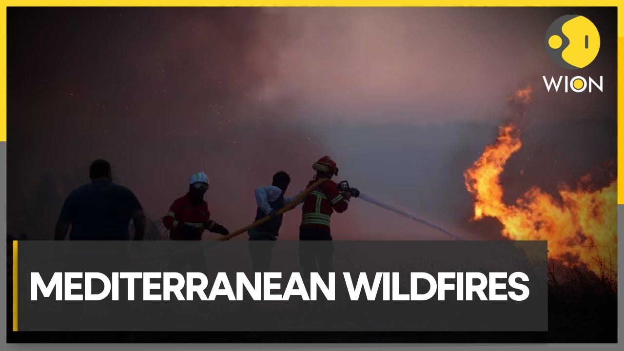 Wildfires spreading across Mediterranean nations, Turkiye feels the wrath | WION Climate Tracker