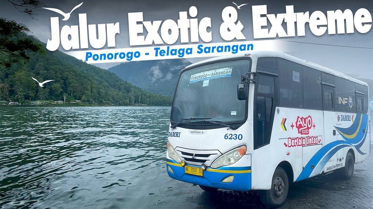 BERWISATA MURAH KE TELAGA SARANGAN😍| Naik Damri Perintis Ponorogo - Sarangan via Parang