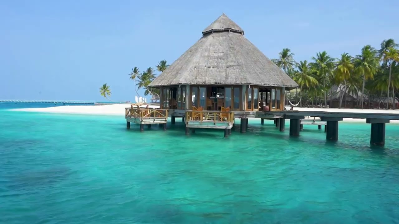 Paradise Maldives Morning Escape 🌴 Calming Island Sounds 🌊 | North Malé Atoll