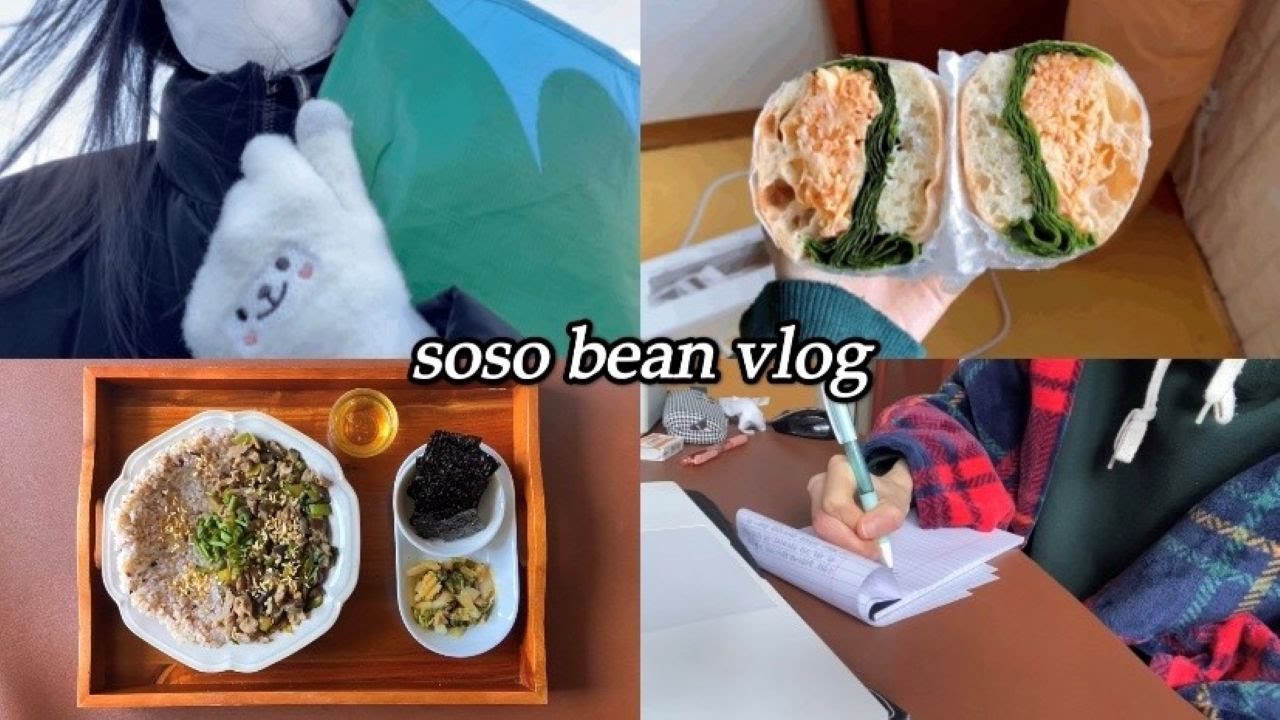 vlog 일상 브이로그ㅣ일기 쓰고 집밥, 나갔다가 바람 잔뜩 맞은 일상