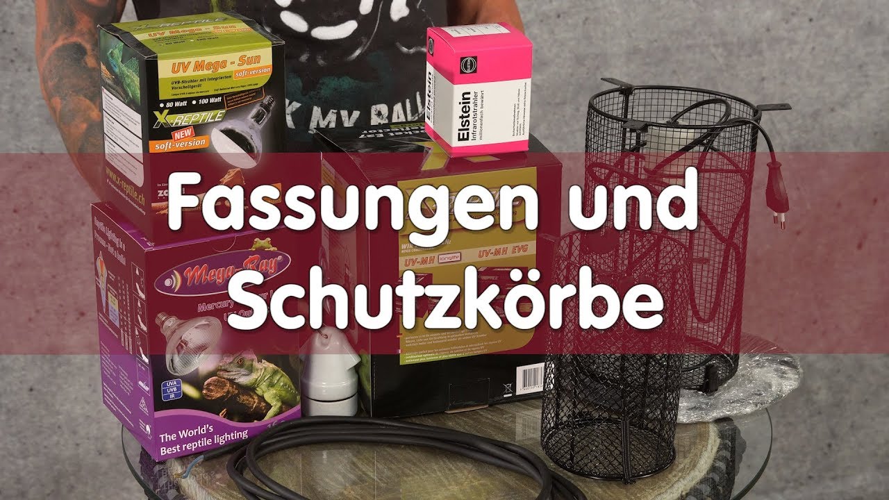 Reptil TV - Praxis - Fassungen und Schutzkörbe