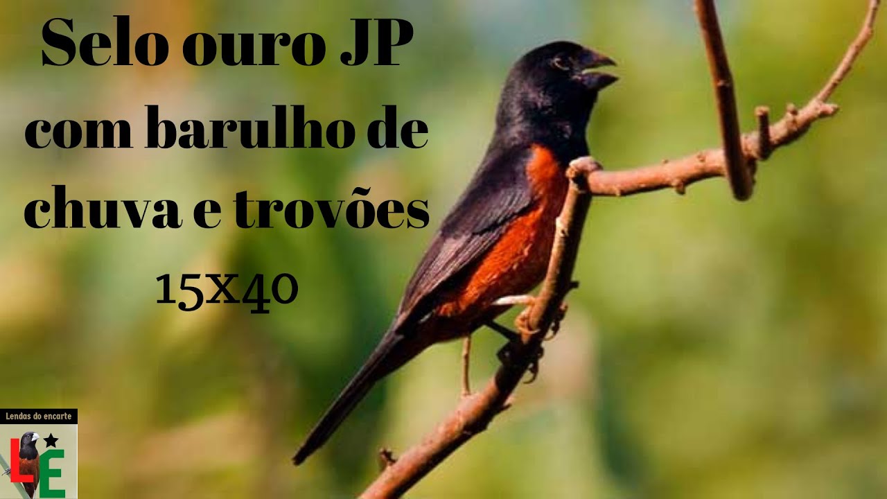Selo ouro JP com barulho de chuva e trovoes ‐ Lendas do encarte