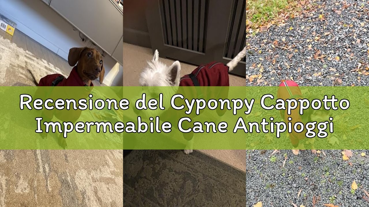 Recensione del Cyponpy Cappotto Impermeabile Cane Antipioggia Maniche Lunghe con Strappo Riflettente