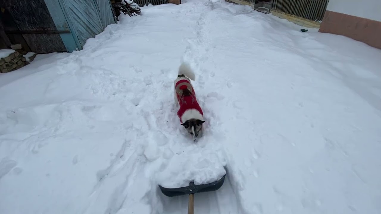 Для одних краса, а для інших важка праця
