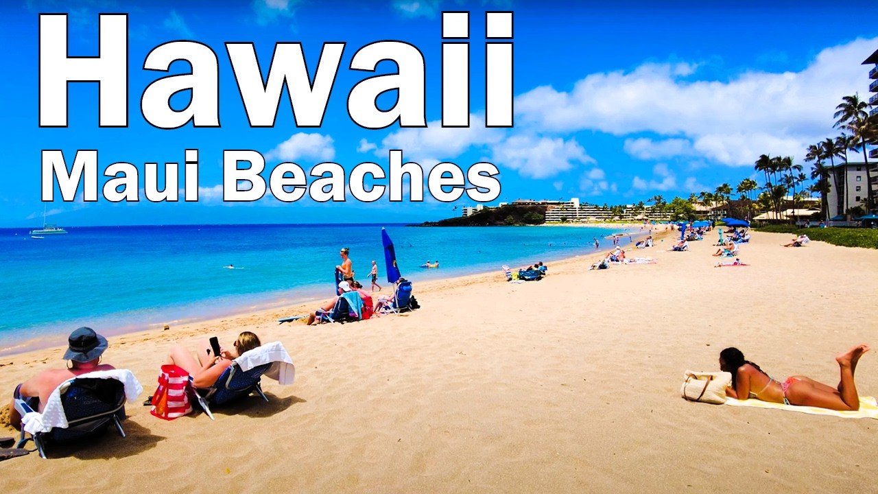 Overrated or Incredible? Maui’s 7 ‘Top’ Beaches for 2026 Vacations🏖️🌴