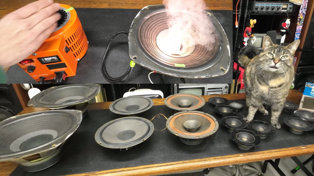 Radio Shack Speaker Blowouts