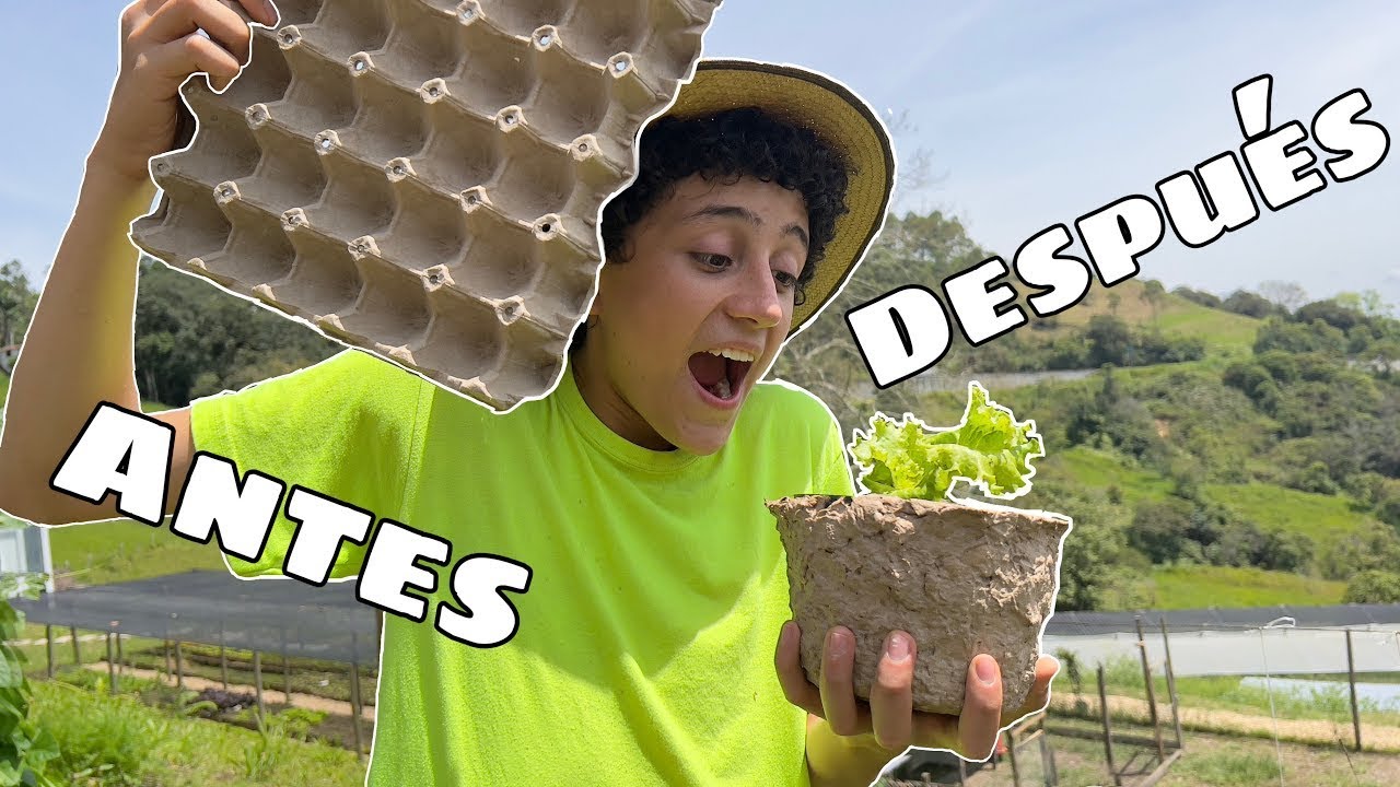 C&oacute;mo hacer macetas con cart&oacute;n reciclado!!! Muy f&aacute;cil | La Granja del Borrego