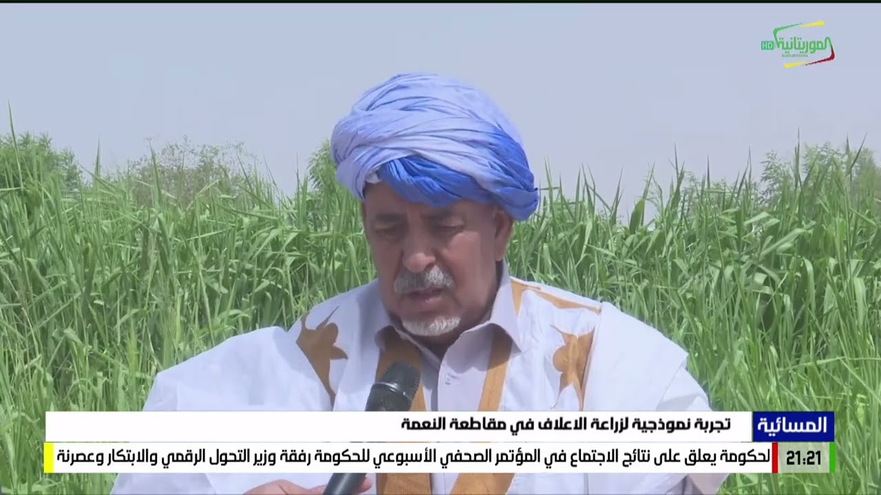 تجربة نموذجية لزراعة الاعلاف في مقاطعة النعمة