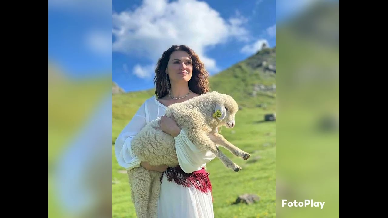 Gora Sar Planina Kosovo  Leto  2023 god
