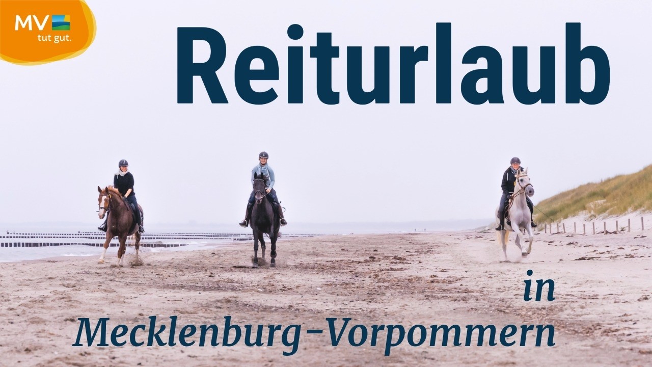 Reiterferien und Reiturlaub - vom Reiten auf dem Lande bis zum Strandreiten an der Ostsee