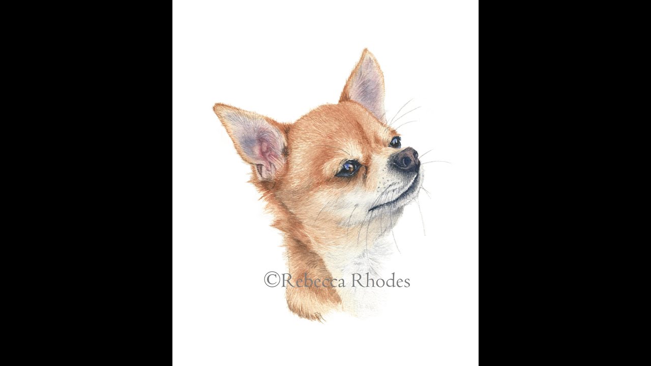 Watercolor Painting Tutorial -  Chihuahua Dog, Course Preview